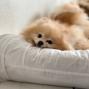 Meet your Posher, Lea